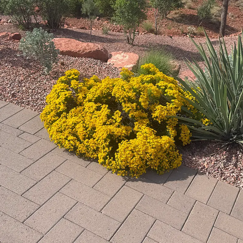 Bocce Court Artificial Turf